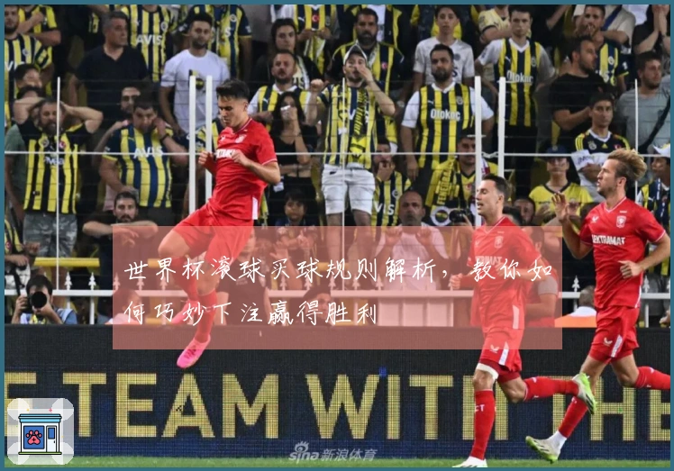 世界杯滚球买球规则解析，教你如何巧妙下注赢得胜利