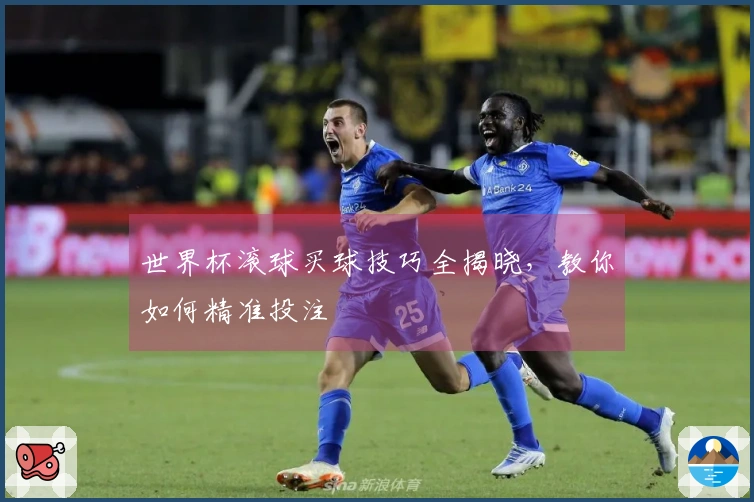 世界杯滚球买球技巧全揭晓，教你如何精准投注