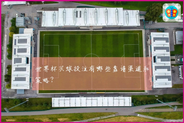 世界杯买球投注有哪些靠谱渠道和策略？