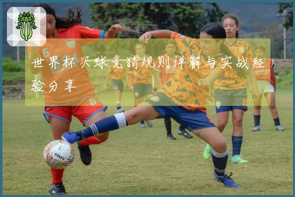世界杯买球竞猜规则详解与实战经验分享
