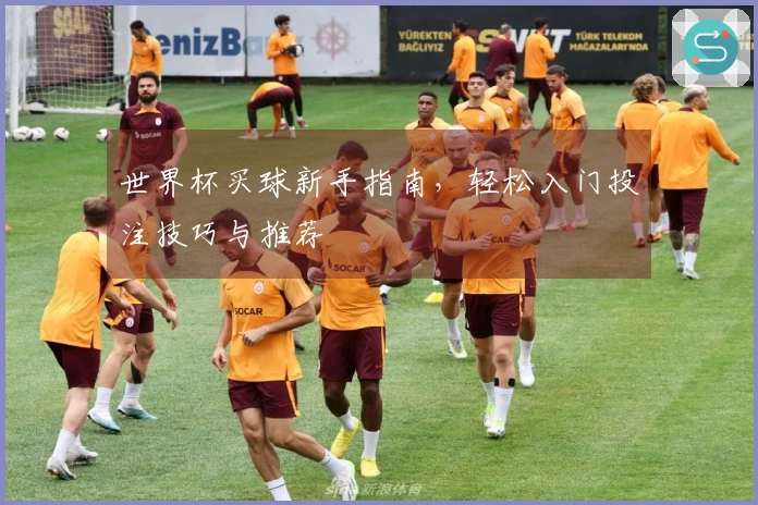 世界杯买球新手指南，轻松入门投注技巧与推荐