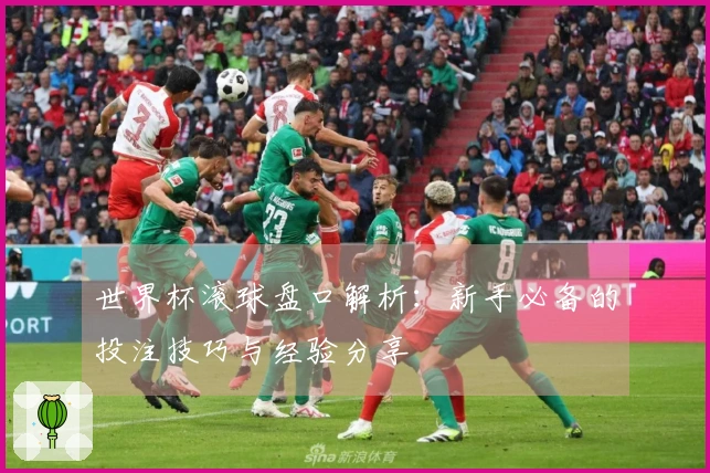 世界杯滚球盘口解析：新手必备的投注技巧与经验分享
