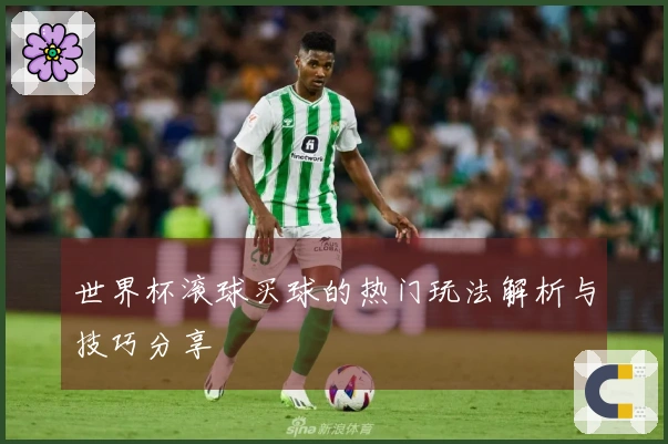 世界杯滚球买球的热门玩法解析与技巧分享