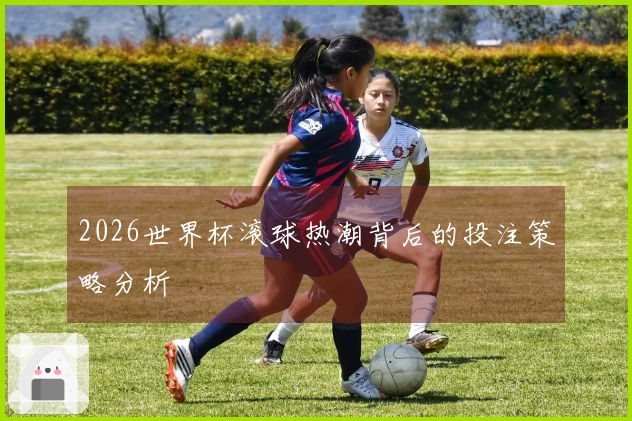 2026世界杯滚球热潮背后的投注策略分析