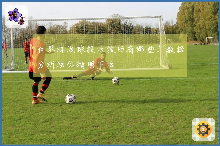 世界杯滚球投注技巧有哪些？数据分析助你精明下注