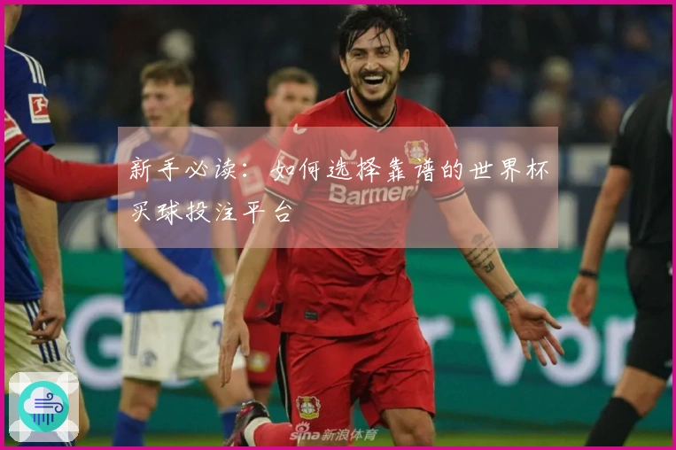 新手必读：如何选择靠谱的世界杯买球投注平台