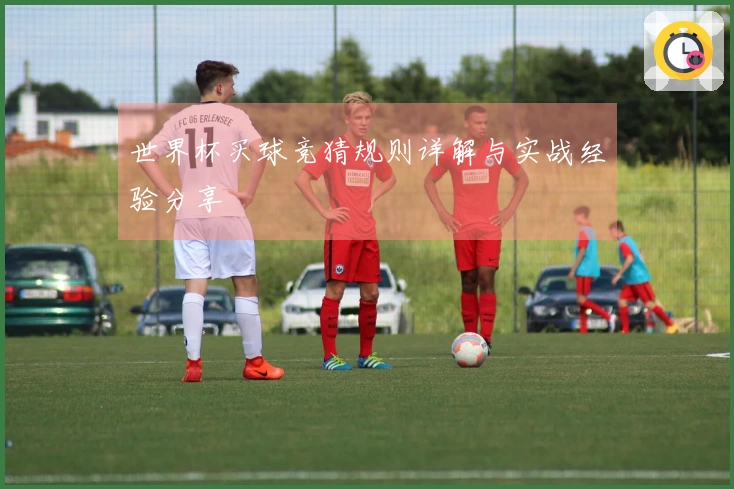 世界杯买球竞猜规则详解与实战经验分享